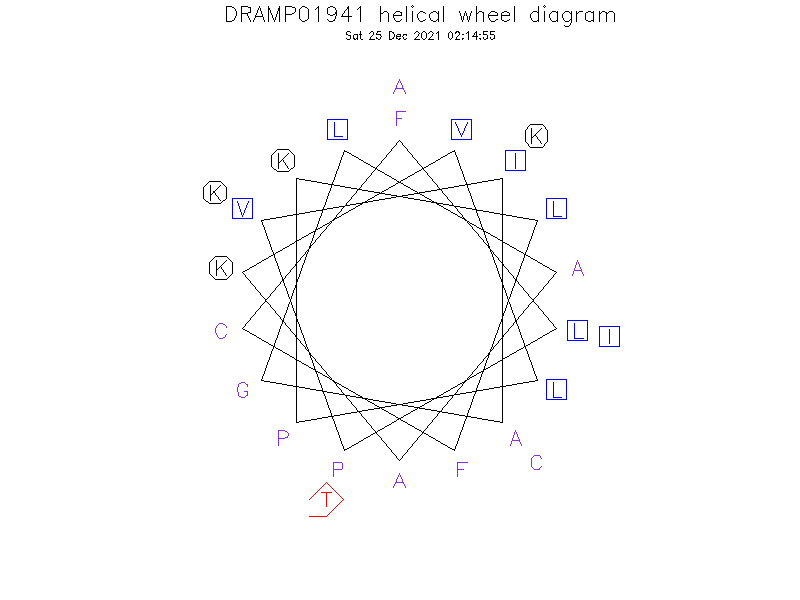 DRAMP01941 helical wheel diagram