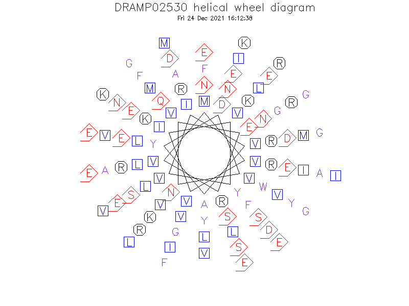 DRAMP02530 helical wheel diagram