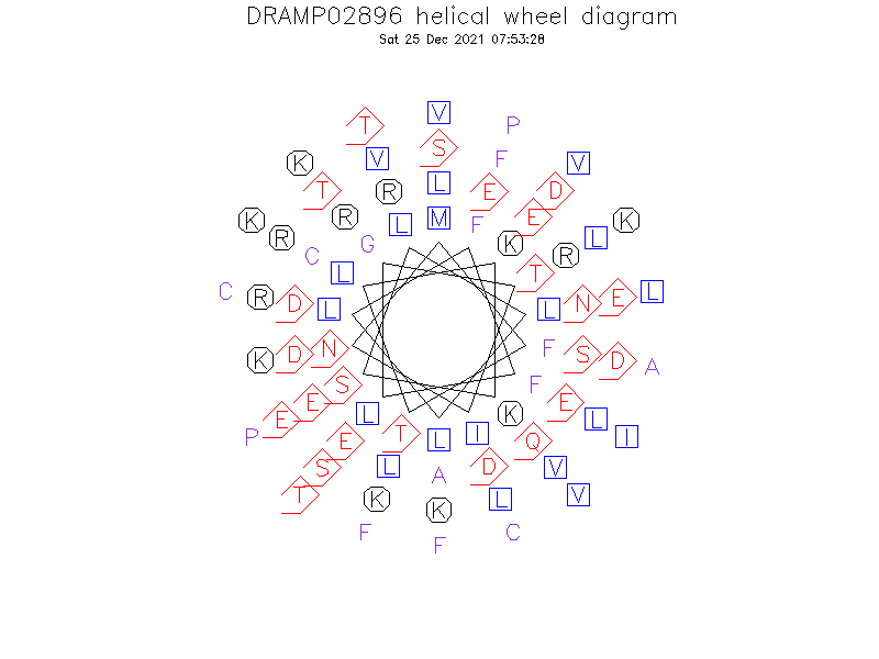 DRAMP02896 helical wheel diagram