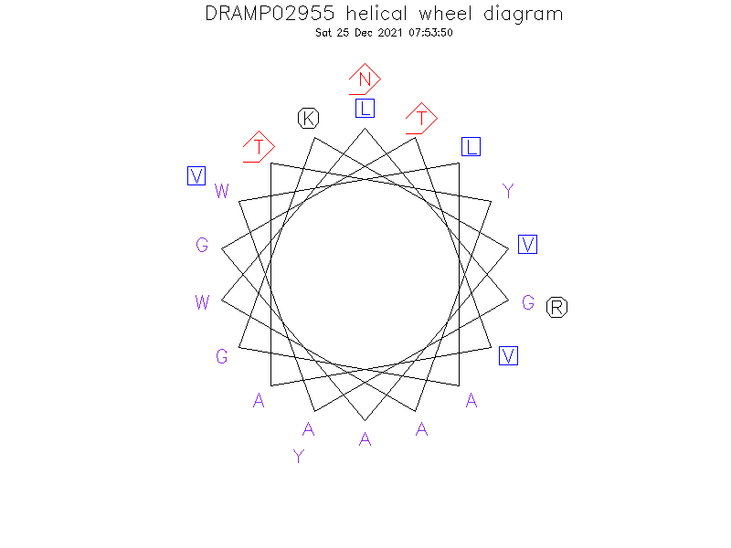 DRAMP02955 helical wheel diagram