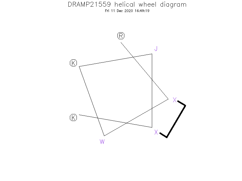 DRAMP21559 helical wheel diagram