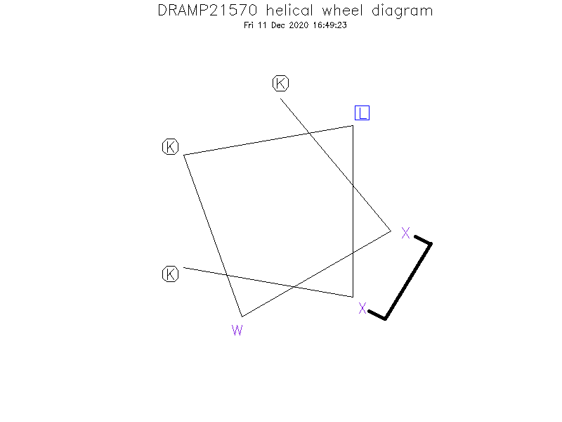 DRAMP21570 helical wheel diagram