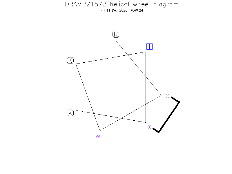 DRAMP21572 helical wheel diagram