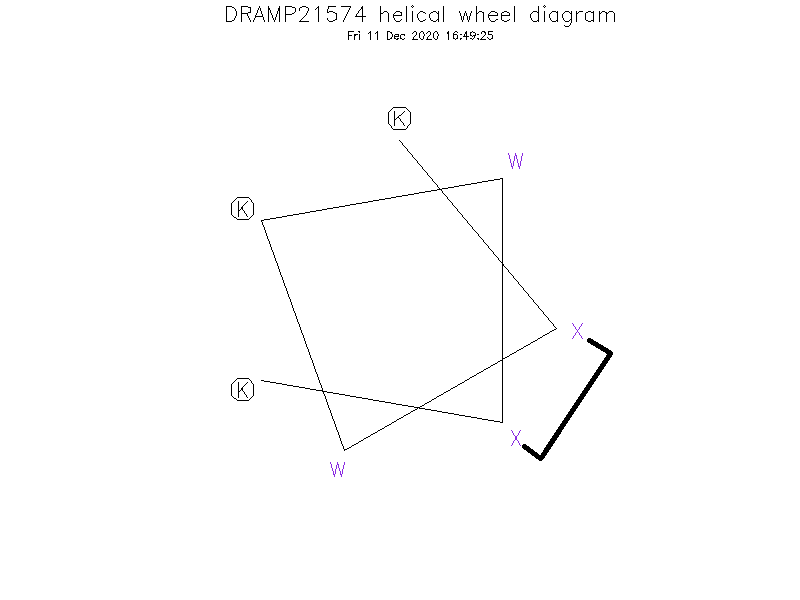 DRAMP21574 helical wheel diagram