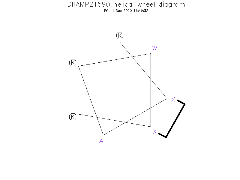 DRAMP21590 helical wheel diagram