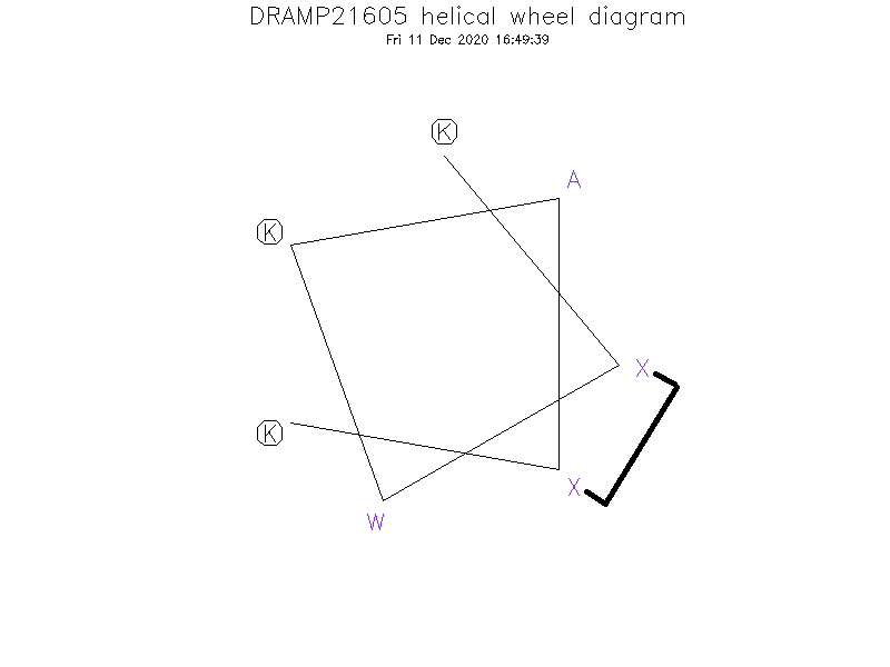 DRAMP21605 helical wheel diagram