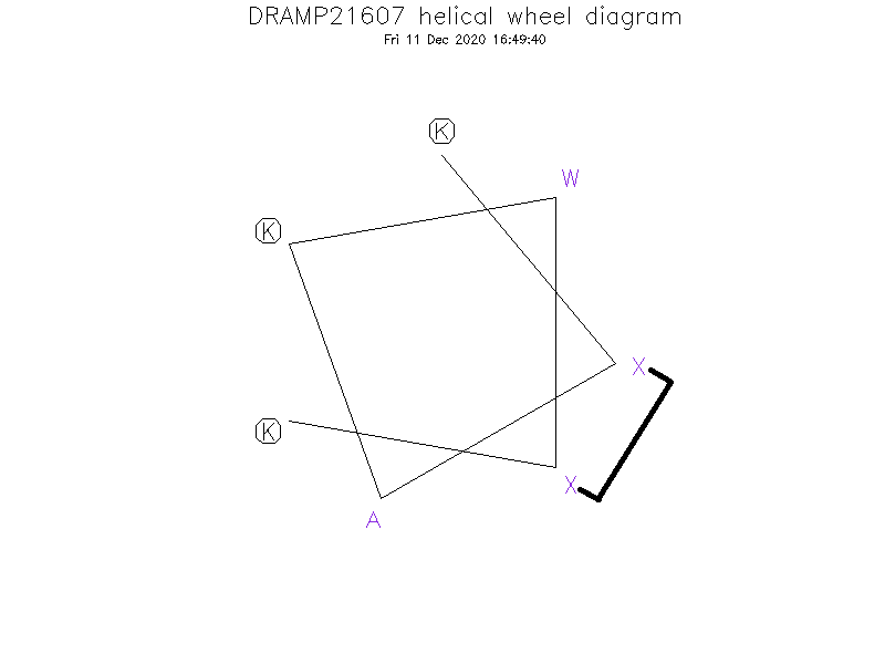 DRAMP21607 helical wheel diagram