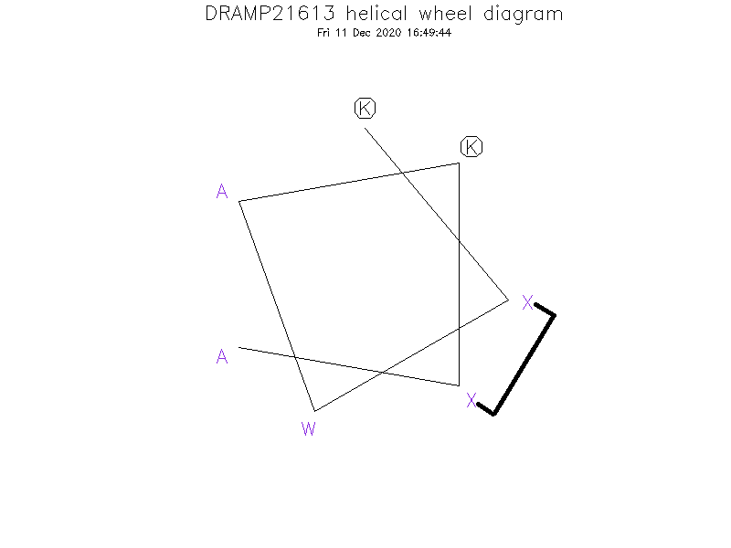 DRAMP21613 helical wheel diagram