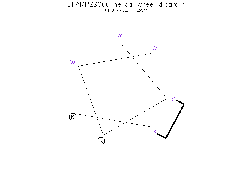 DRAMP29000 helical wheel diagram
