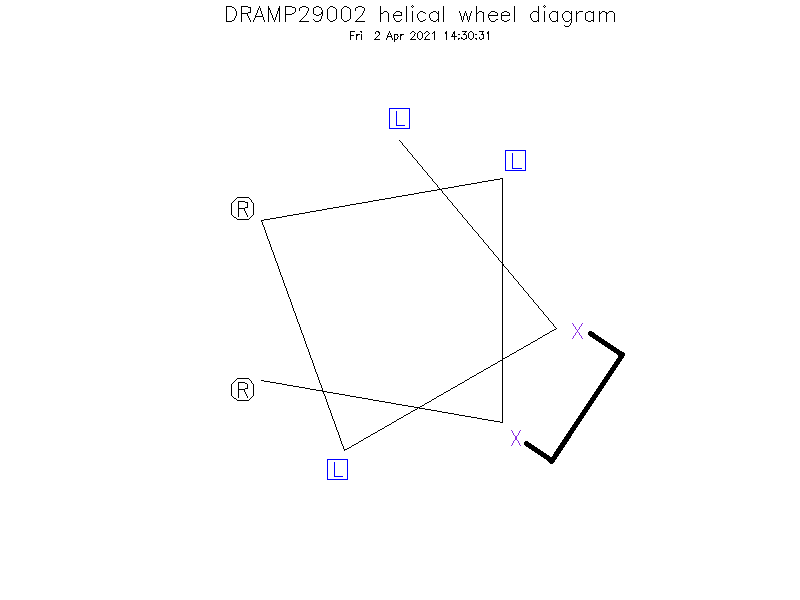 DRAMP29002 helical wheel diagram